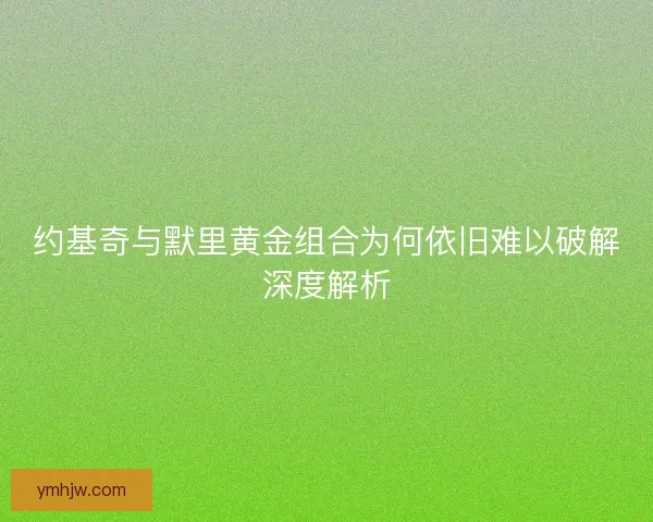 约基奇与默里黄金组合为何依旧难以破解深度解析