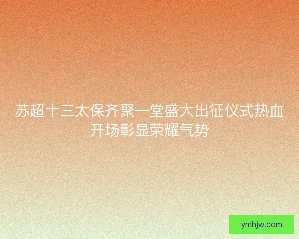 苏超十三太保齐聚一堂盛大出征仪式热血开场彰显荣耀气势 苏超十三太保齐聚一堂盛大出征仪式热血开场彰显荣耀气势